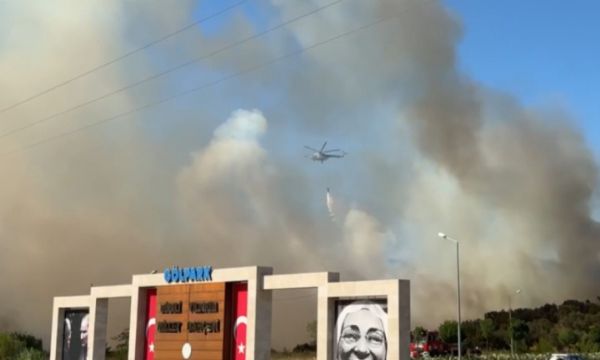 İzmir'de zirai alanda yangın!